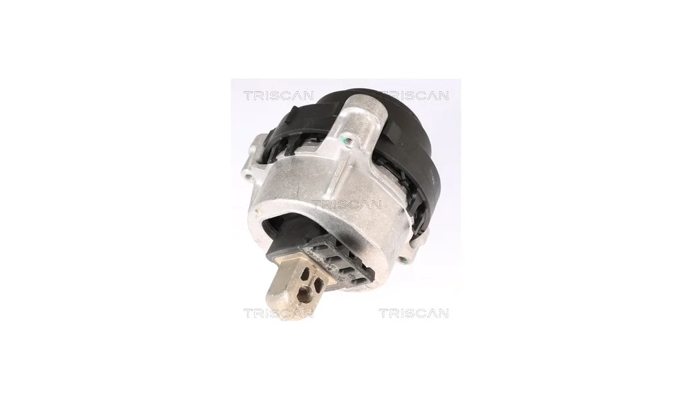 Motorfeste – 8505 11124 – (Triscan) v:8951770