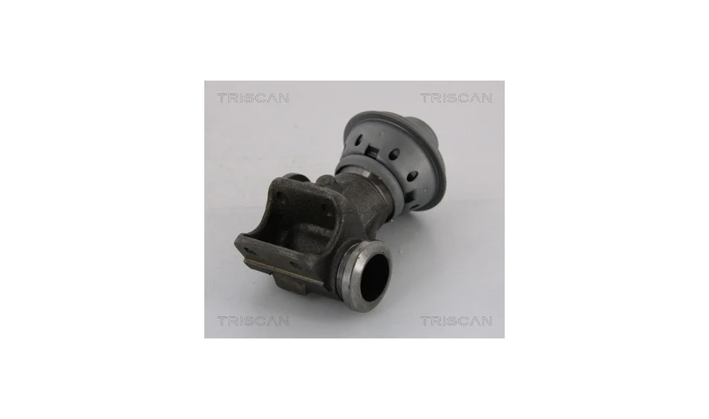 EGR-ventil – 8813 28013 – (Triscan) v:9829507