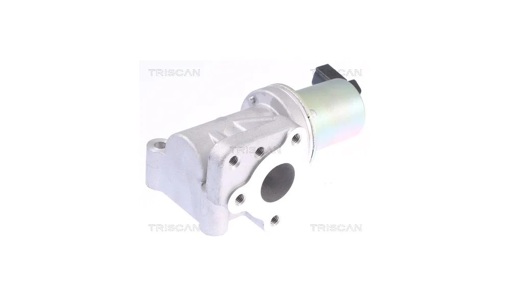 EGR-ventil – 8813 43015 – (Triscan) v:6148091