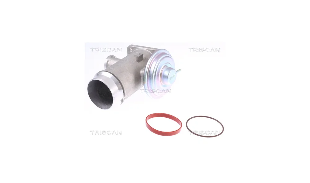 EGR-ventil – 8813 11102 – (Triscan) v:6817652