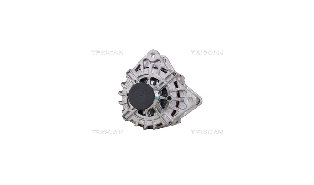 Dynamo – 8310 10166 – (Triscan) v:8319519
