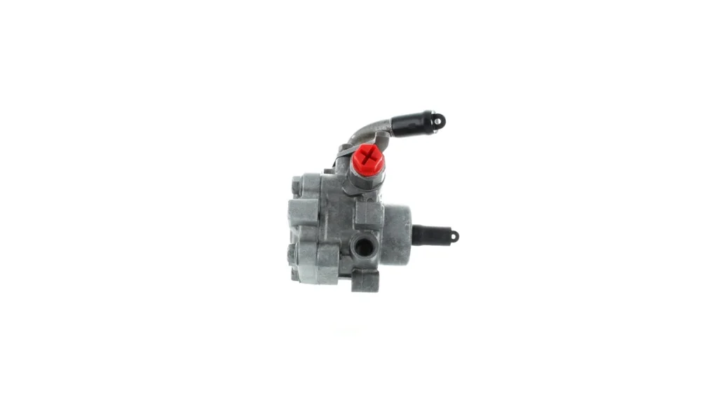 Servopumpe – 52685 – (GKN) v:7611893 Servopumpe – 52685 – (GKN) v:7611893