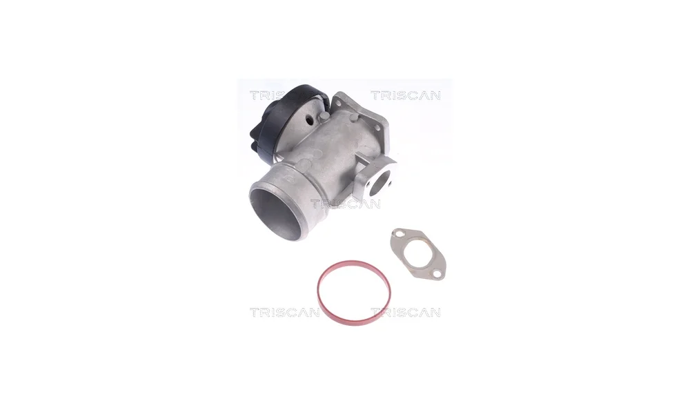 EGR-ventil – 8813 23203 – (Triscan) v:5605018