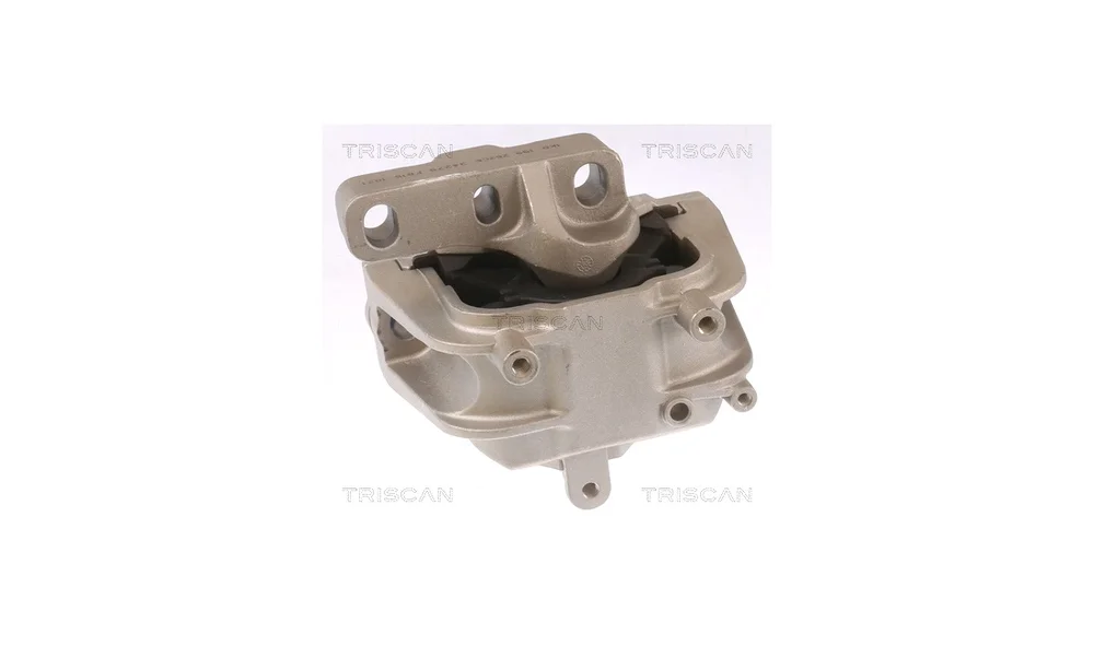 Motorfeste – 8505 29145 – (Triscan) v:1465006