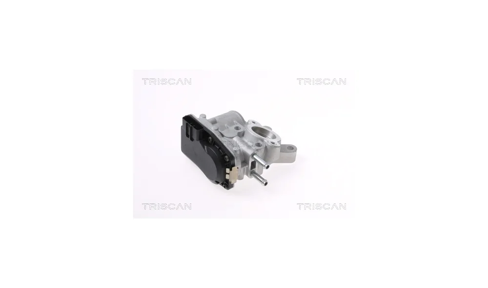 EGR-ventil – 8813 14100 – (Triscan) v:2968894