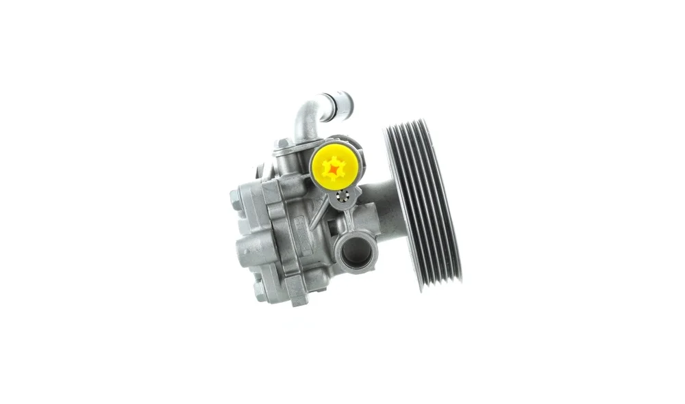 Servopumpe – 52680 – (GKN) v:6966781 Servopumpe – 52680 – (GKN) v:6966781