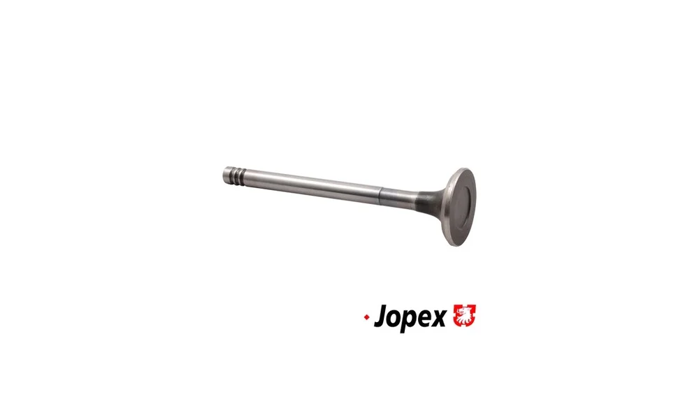 Utløpsventil 8111301106 IVAM (JP Group) v:7943521